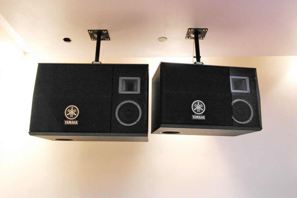 s36沙龙会专业音响新产品亮相PALM EXPO 2013展会 