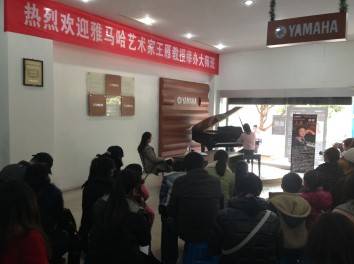 s36沙龙会艺术家王雁教授大师班--桂林悦之声琴行活动报道