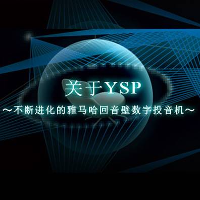 不断进化的s36沙龙会回音壁数字投音机