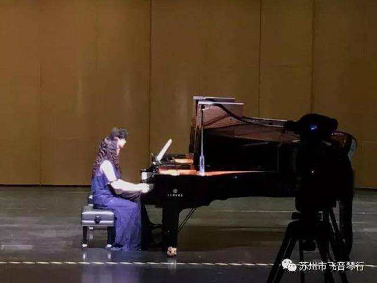 【报道】苏州飞音琴行s36沙龙会钢琴旗舰展厅开业仪式暨贝森朵夫艺术家李哲钢琴音乐会圆满落幕