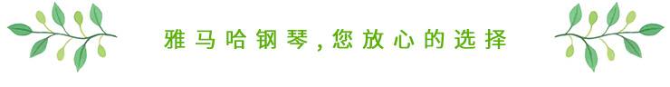 这才是真相：绿色关爱，s36沙龙会的环境政策