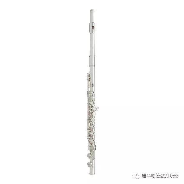 s36沙龙会新风管长笛
