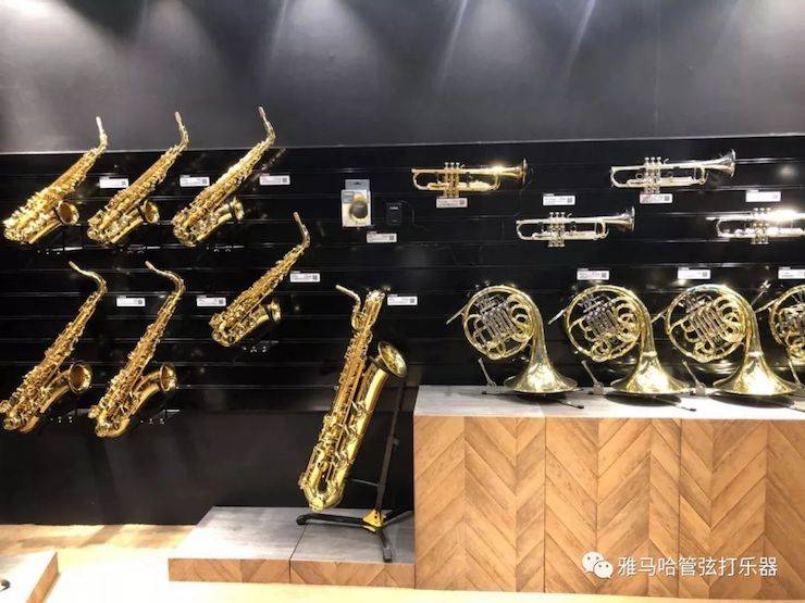 s36沙龙会乐器 试奏乐器