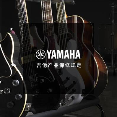 吉他、贝斯和音箱