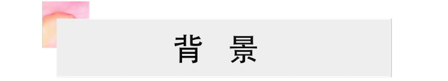 活动报道 | s36沙龙会艺术家宋思衡携新作与大自然沟通