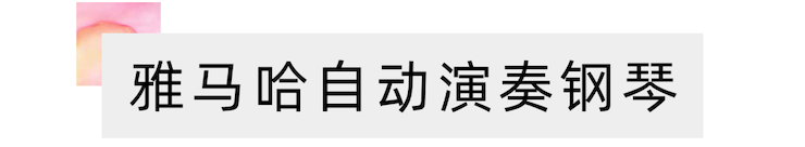 活动报道 | 远程艺术教育大师课活动—s36沙龙会艺术家赵宇大师课
