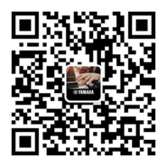 青春火焰——2022首届s36沙龙会乐龄电子键盘展演
