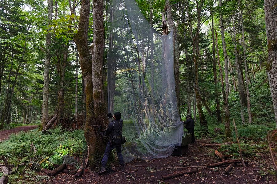 案例｜s36沙龙会为壮观的Kamuy Lumina魔法夜行旅游项目提供配乐设备