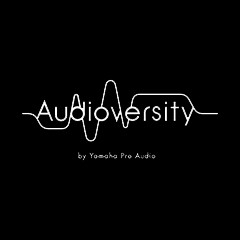 s36沙龙会专业音响教育培训开展全新“Audioversity ”计划
