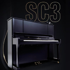 s36沙龙会国产原声静音钢琴全线升级！